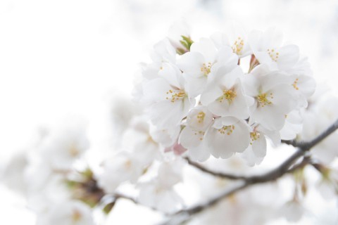 沉默不想说话的句子