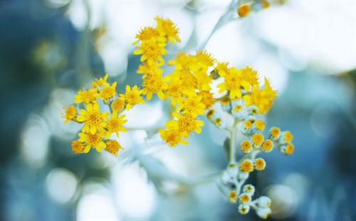 关于爱情的唯美句子