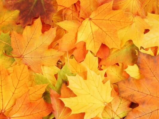 小清新文艺范句子