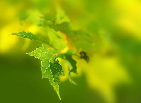 表达难受的心情句子