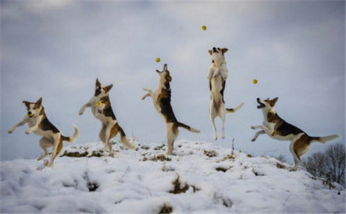 关于洪荒的句子