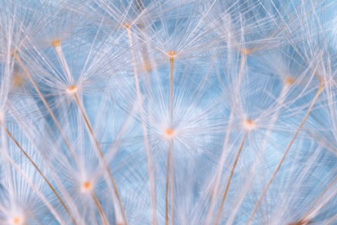 关于幸福爱情的短句唯美句子