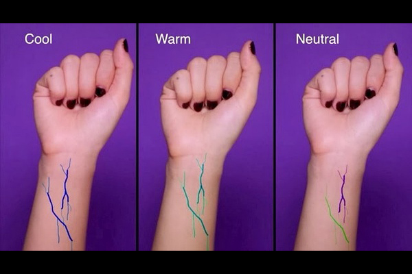 怎么区别暖皮和冷皮 冷皮暖皮适合什么颜色衣服