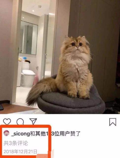 王思聪示爱网红彭小羊 王思聪示爱网红彭小羊