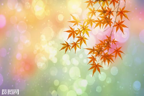 有关友情的唯美句子