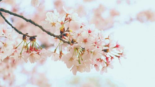 心情孤单失落的句子42句