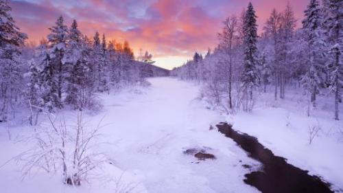 一个人寂寞的句子41句