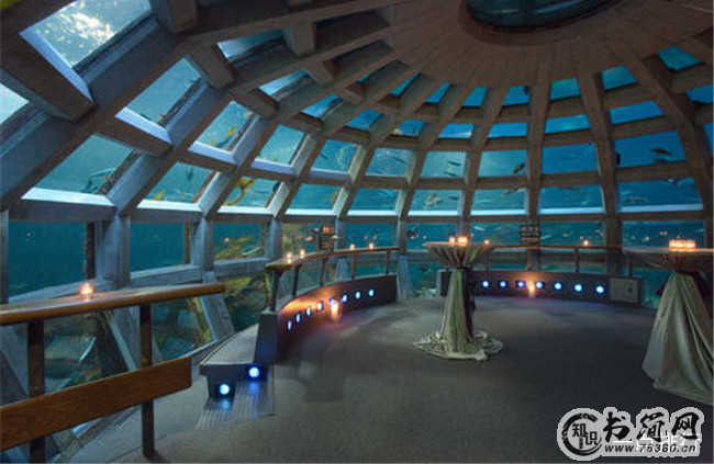 西雅图水族馆 西雅图水族馆