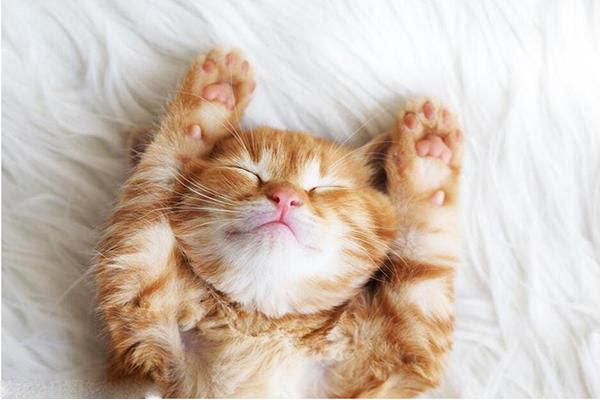 哄人睡觉的小故事有哪些？哄人睡觉怎么哄？