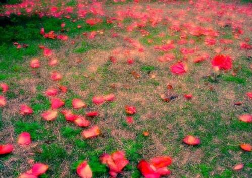 2019温暖文艺的小句子