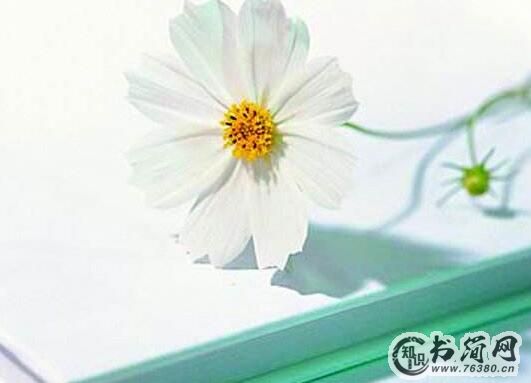 关于咖啡的文艺句子