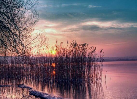 关于月亮文艺句子2019汇总