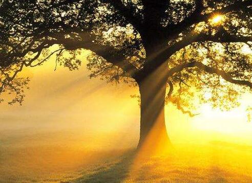 希望友谊长存的句子