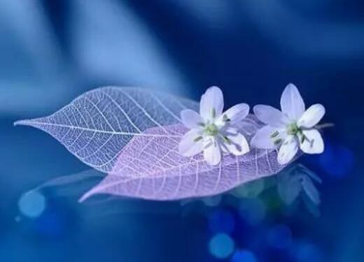 关于友情友谊的好句子