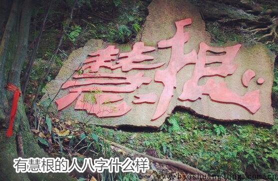 有慧根的人八字什么样