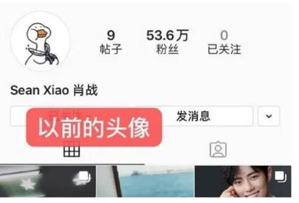肖战ins头像
