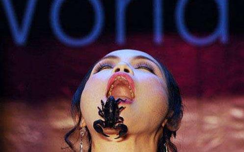 十大评分最高的美剧