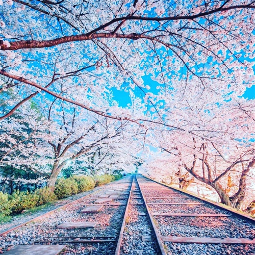 关于往事如烟的句子 一笑而过往事如烟的句子