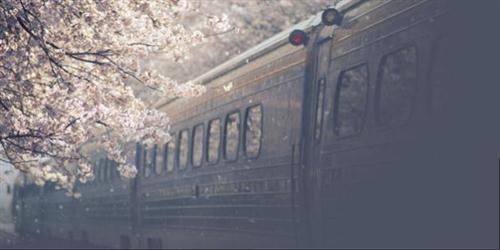 爱情痛苦的句子