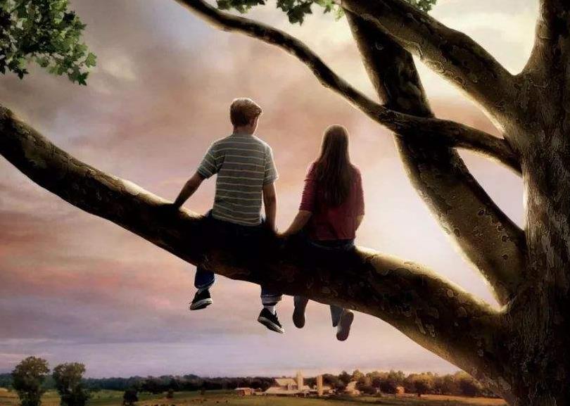 甜到炸的暖心爱情故事