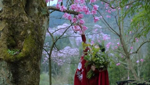 李子柒春日鲜花宴