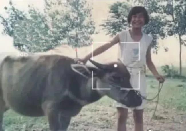 贾玲年少时放牛照