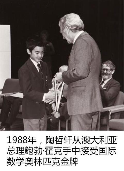 陶哲轩的故事：陶哲轩智商多少有什么成就