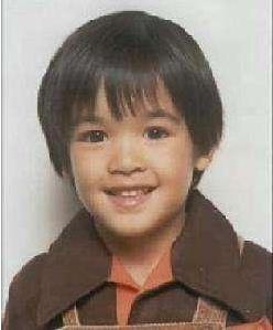 陶哲轩的故事：陶哲轩智商多少有什么成就