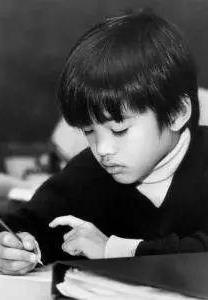 陶哲轩的故事：陶哲轩智商多少有什么成就