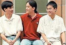 陶哲轩的故事：陶哲轩智商多少有什么成就