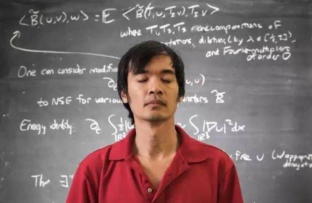 陶哲轩的故事：陶哲轩智商多少有什么成就