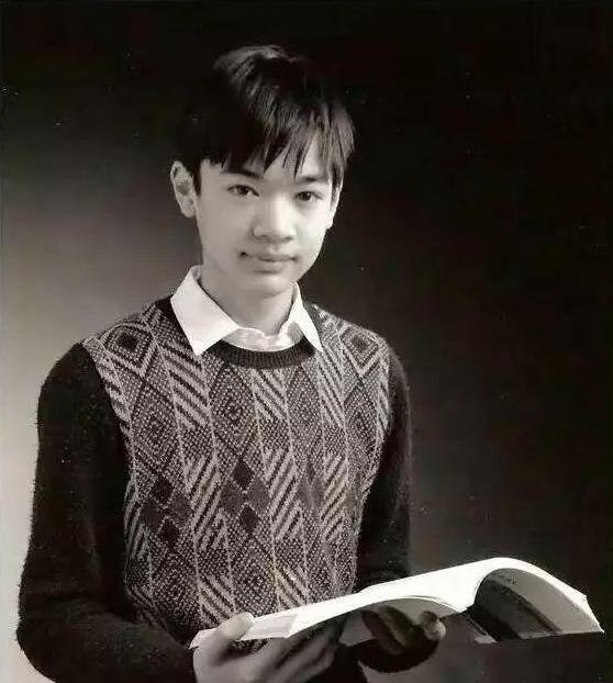 陶哲轩的故事：陶哲轩智商多少有什么成就