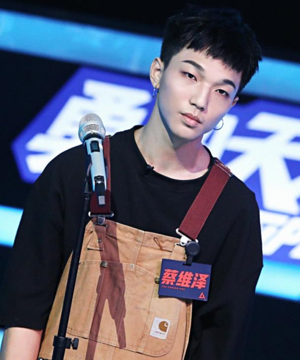 蔡维泽为什么不火