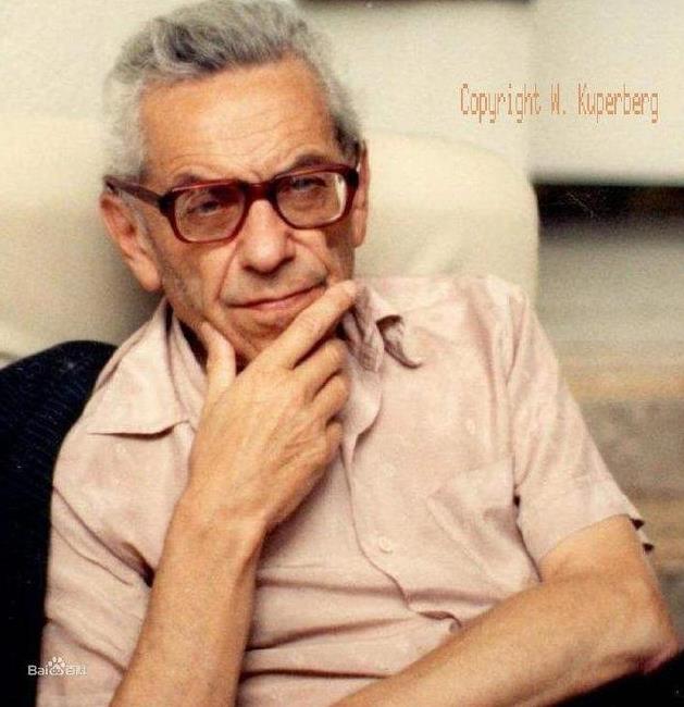 陶哲轩的故事：陶哲轩智商多少有什么成就