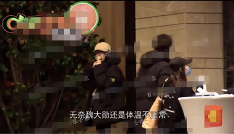 杨幂魏大勋恋情实锤来了