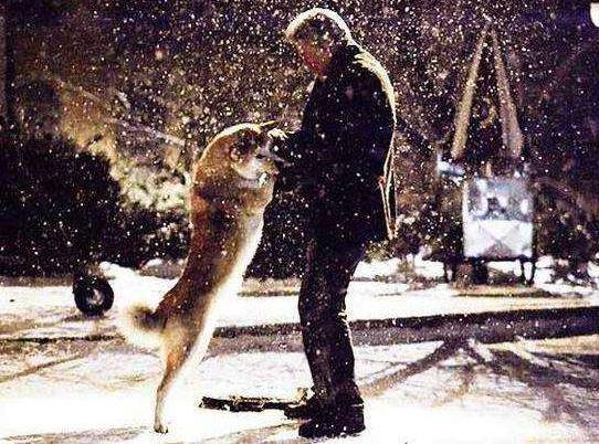 哭到崩溃的10部电影