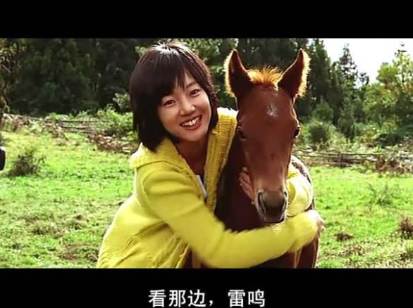 韩国情爱情电影排行榜前十名