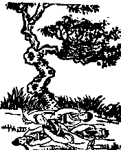 推背图