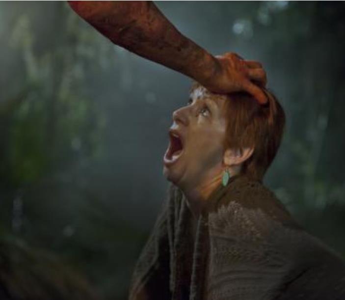 血腥变态杀人的电影