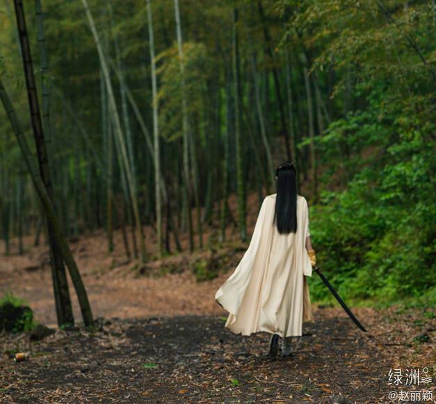 赵丽颖王一博有翡