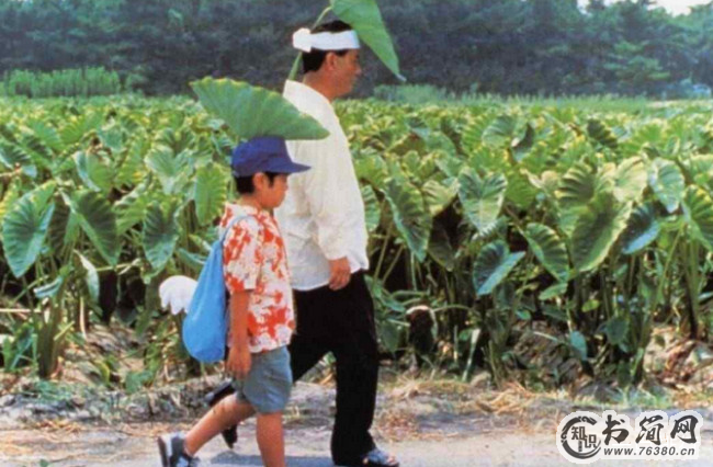 《菊次郎的夏天》