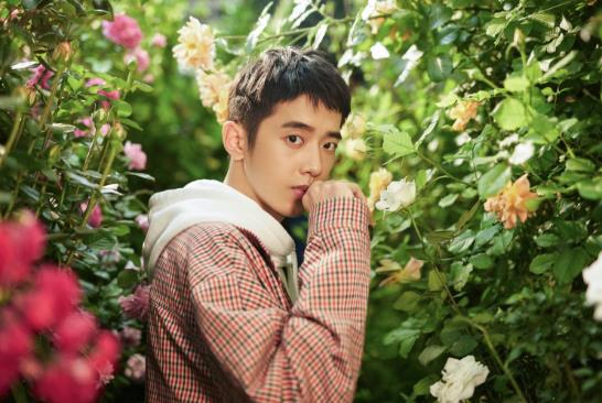 梁靖康年龄及个人资料：梁靖康沈月真的在一起了吗