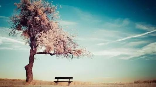 看了让人心静霸道的句子