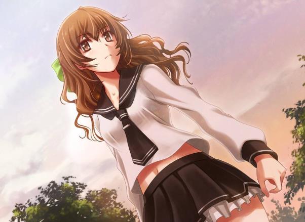 日本h动漫代表作十部