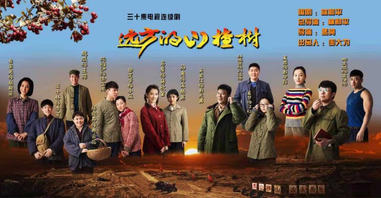 山沟里的农村片电视剧十部推荐