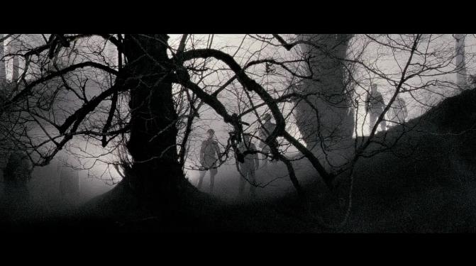 美国变异人电影有哪些：美国十大变异人电影推荐