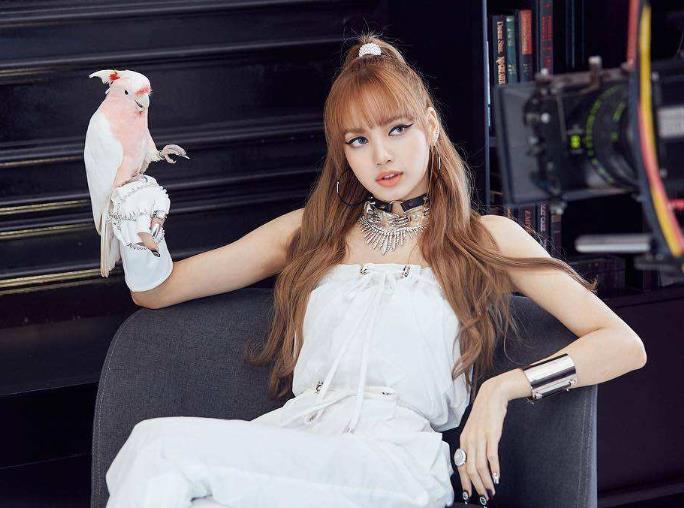 lisa是哪两国混血：lisa详细资料多高多重