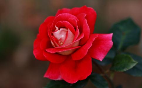 女孩子为什么不能穿着太暴露 女孩子穿着暴露果报 女孩子为什么不能穿着太暴露 女孩子穿着暴露果报