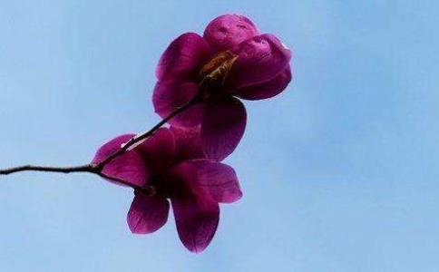 觉火法师：菩萨戒在哪些情形下失戒？