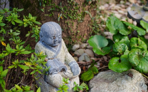 弘恩法师:打坐时妄念纷飞怎么办?如何调伏妄念? 弘恩法师:打坐时妄念纷飞怎么办?如何调伏妄念?